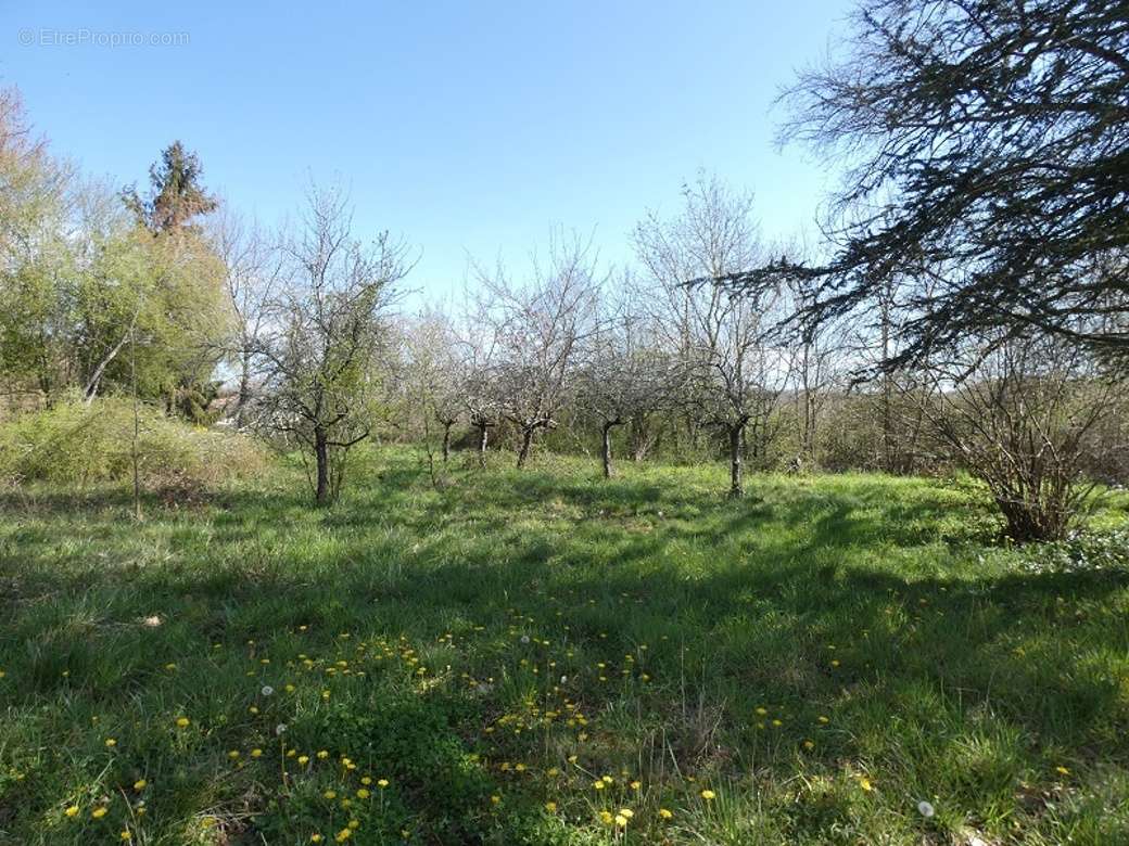 Terrain à PANASSAC