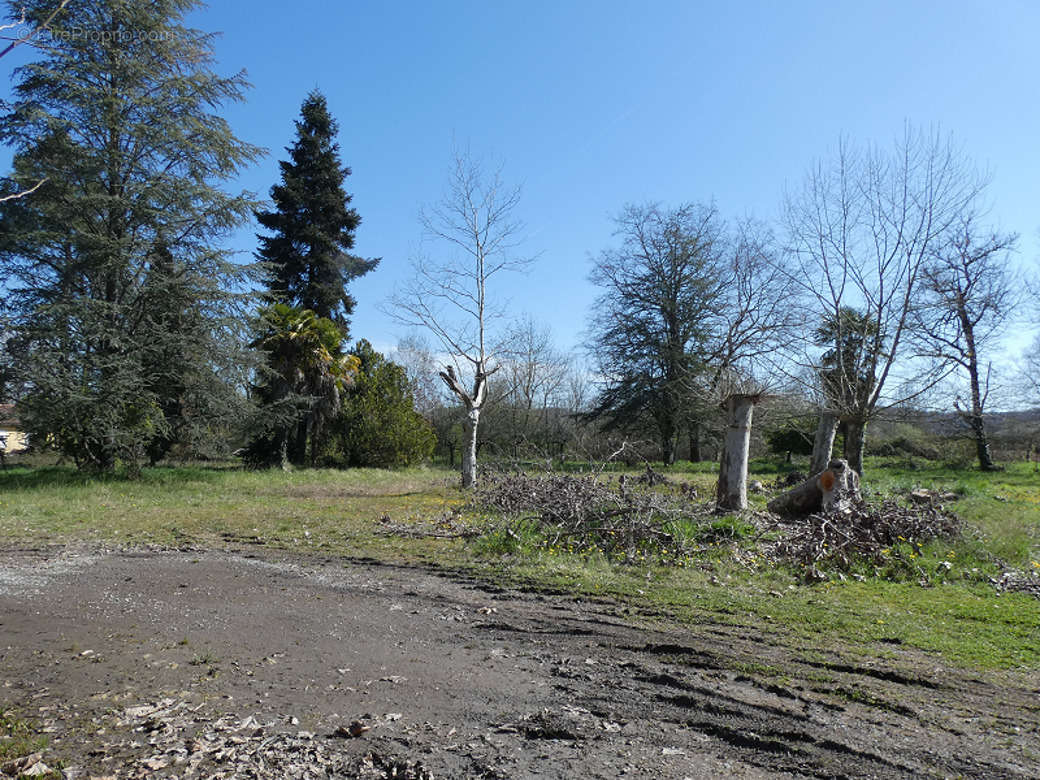 Terrain à PANASSAC