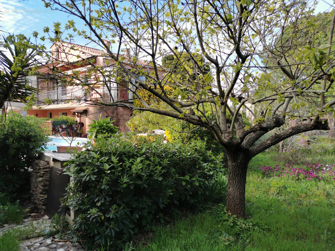 Maison à LA SEYNE-SUR-MER