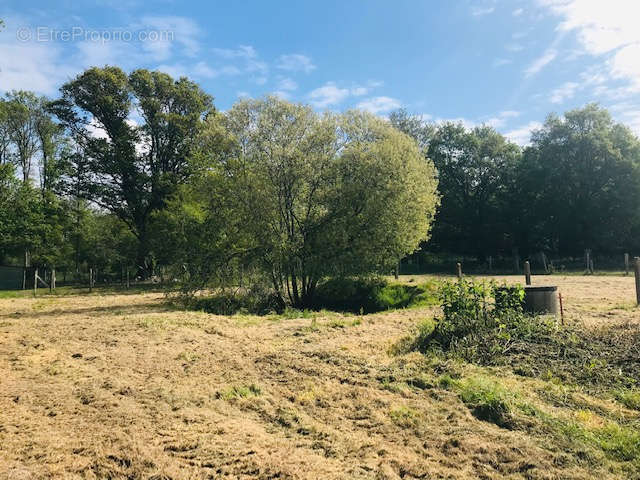 Terrain à LA CHAPELLE-DES-MARAIS