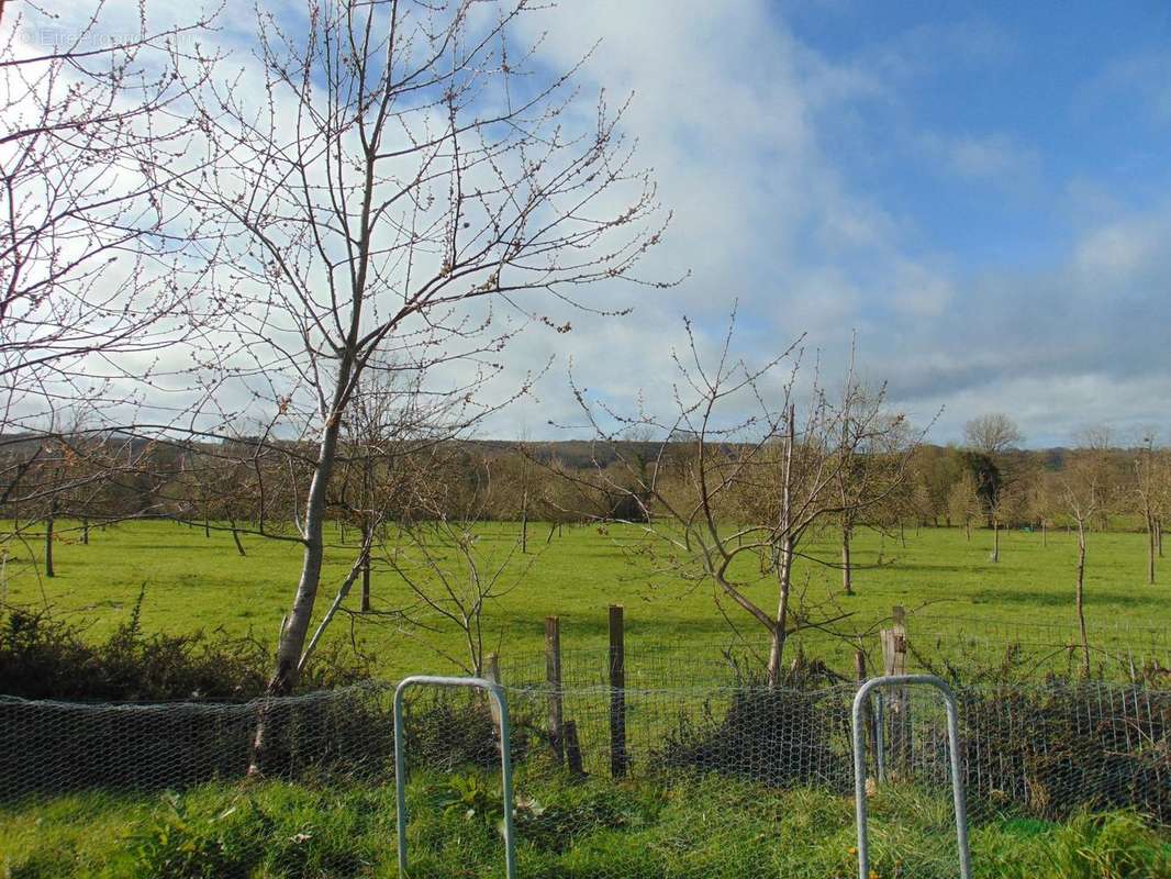 Photo 2 - Maison à LA FERRIERE-AUX-ETANGS