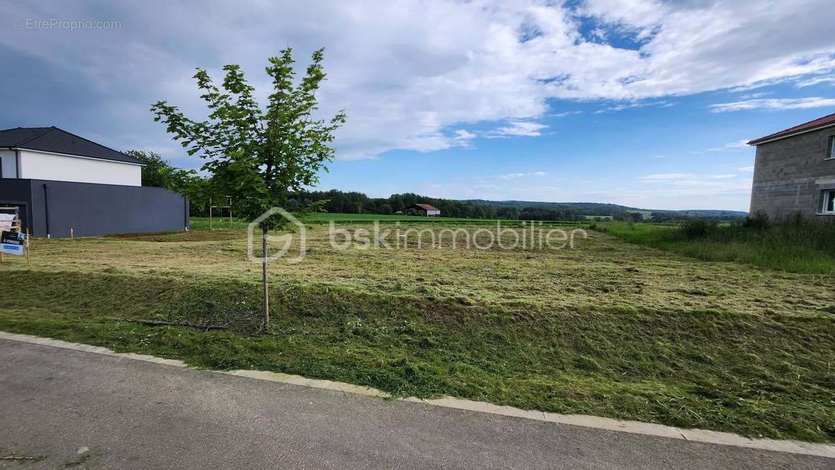 Terrain à MONTIGNY-SUR-VESLE