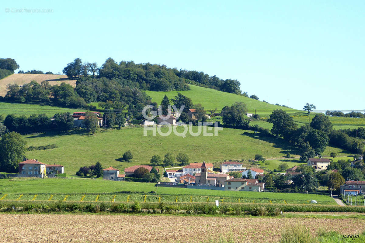 Terrain à VILLENEUVE-DE-MARC