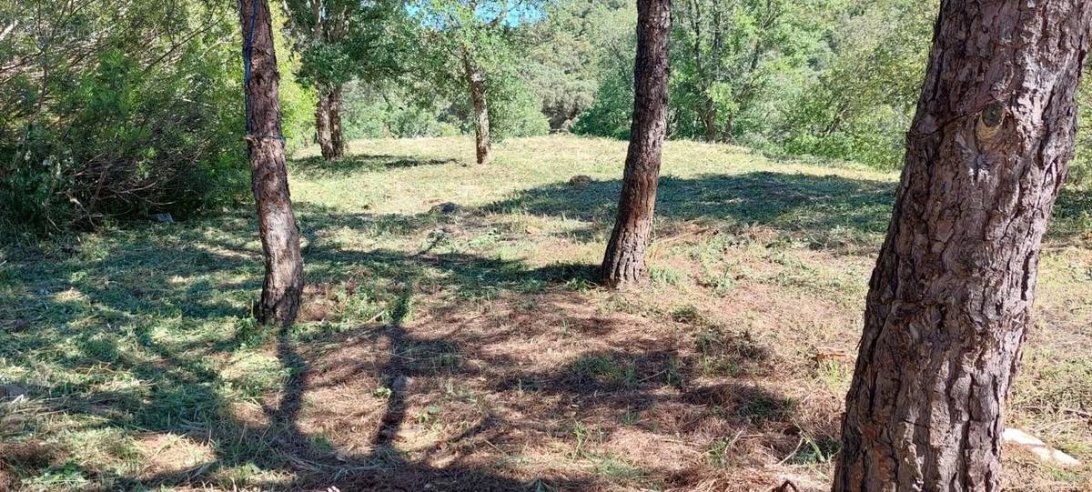 Terrain à ROQUEBRUNE-SUR-ARGENS