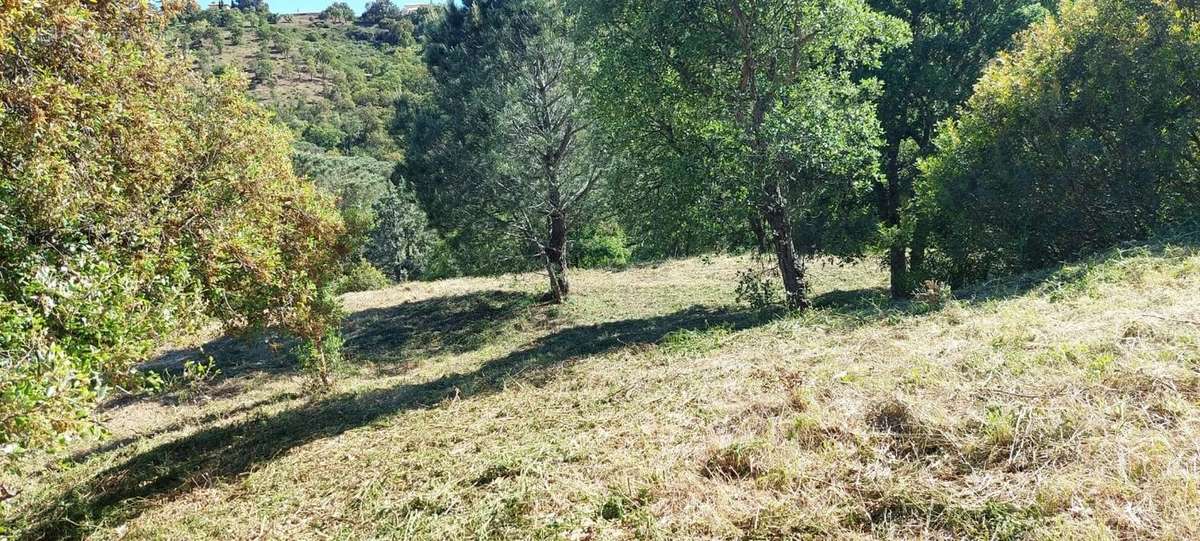 Terrain à ROQUEBRUNE-SUR-ARGENS