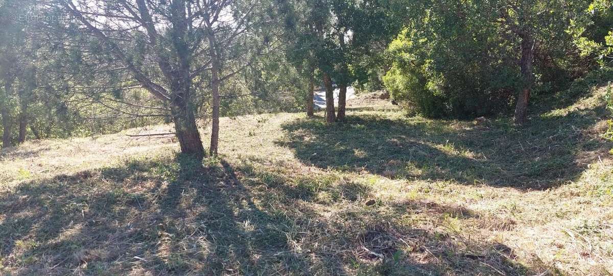 Terrain à ROQUEBRUNE-SUR-ARGENS