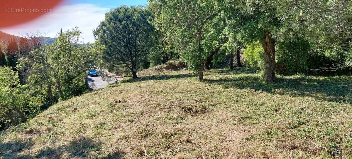 Terrain à ROQUEBRUNE-SUR-ARGENS