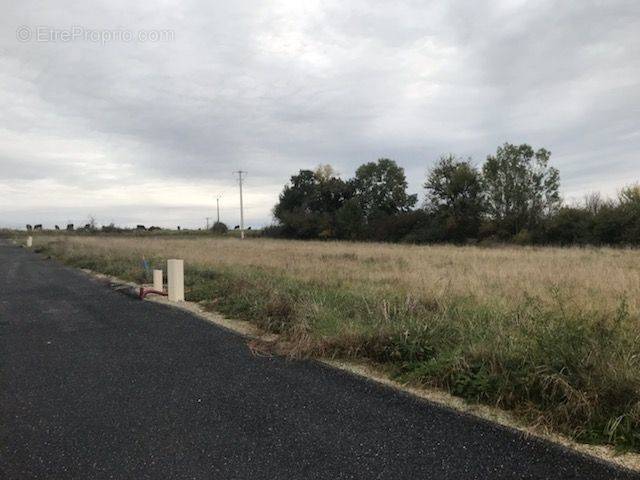 Terrain à SAINT-DYE-SUR-LOIRE