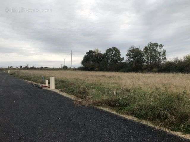 Terrain à SAINT-DYE-SUR-LOIRE