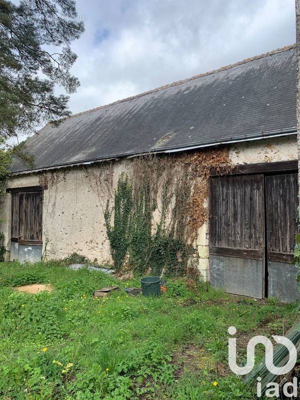 Photo 1 - Maison à SAINT-CYR-SUR-LOIRE