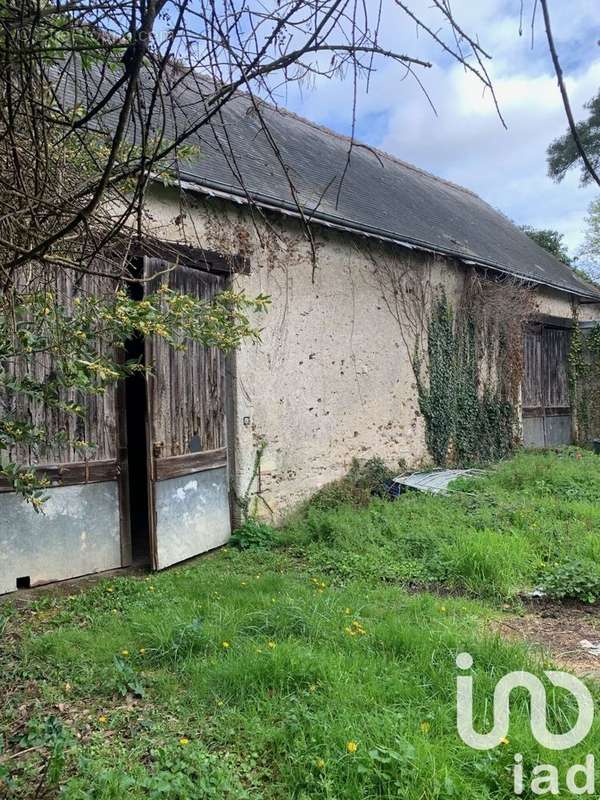 Photo 2 - Maison à SAINT-CYR-SUR-LOIRE