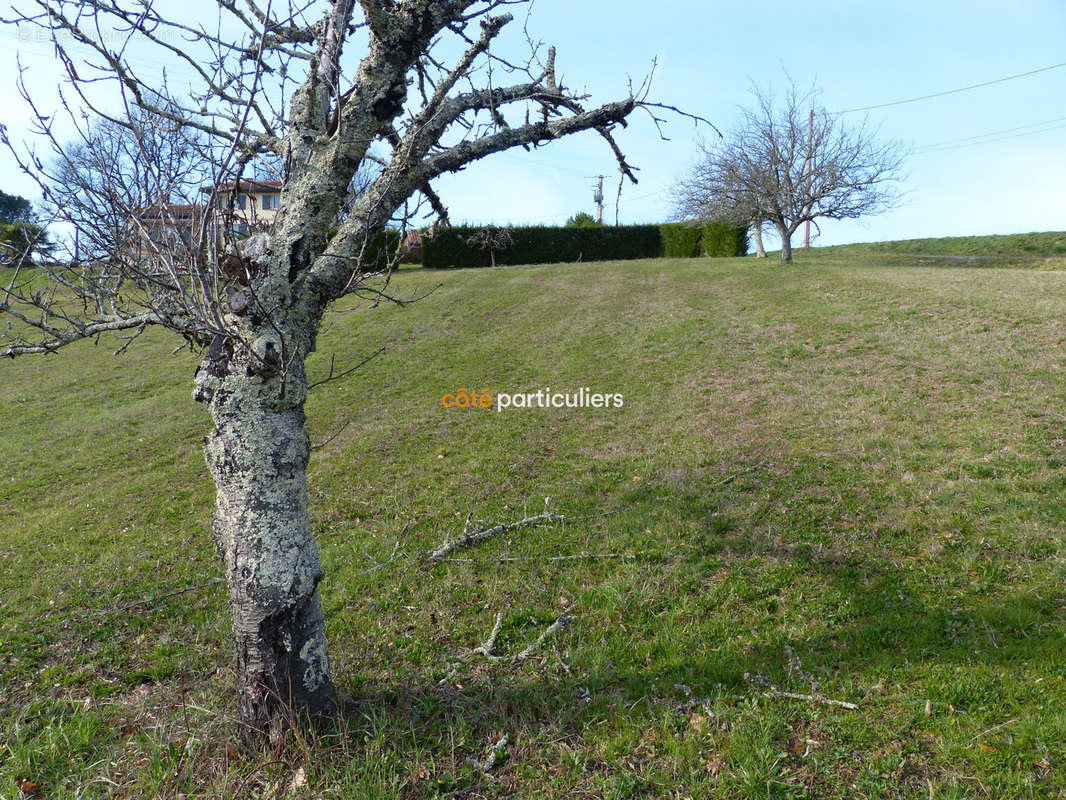 Terrain à MOISSAC