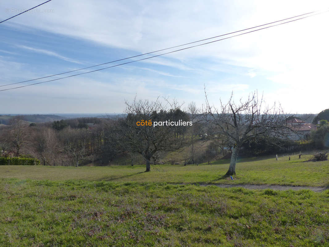 Terrain à MOISSAC