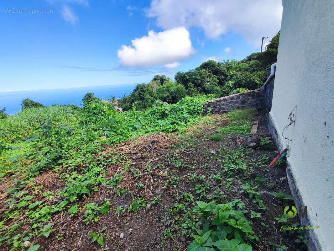 Terrain à LE PORT