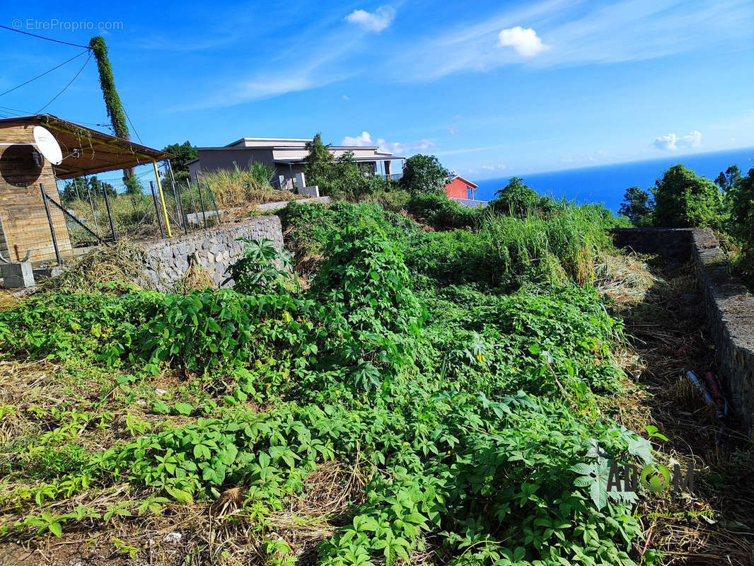 Terrain à LE PORT