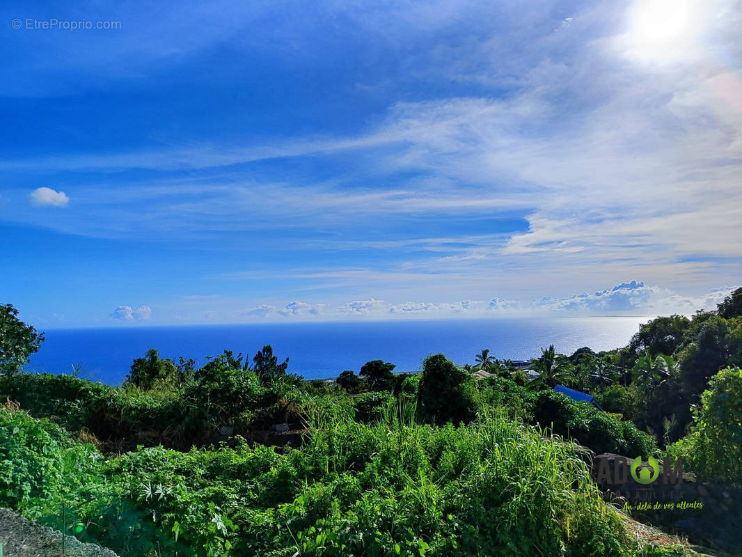 Terrain à LE PORT