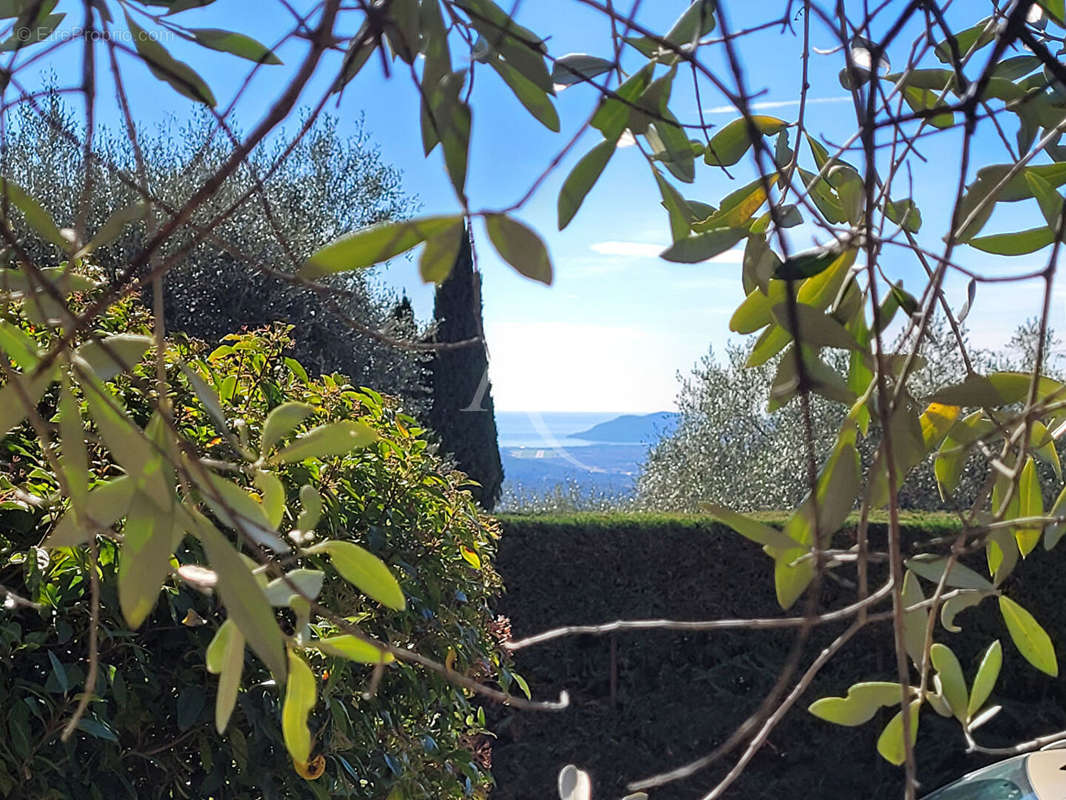 Terrain à GRASSE