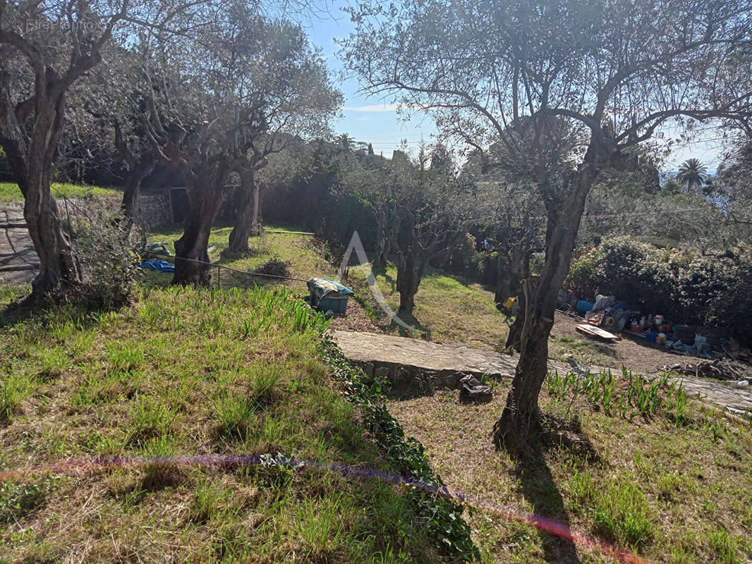 Terrain à GRASSE