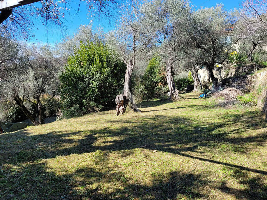 Terrain à GRASSE