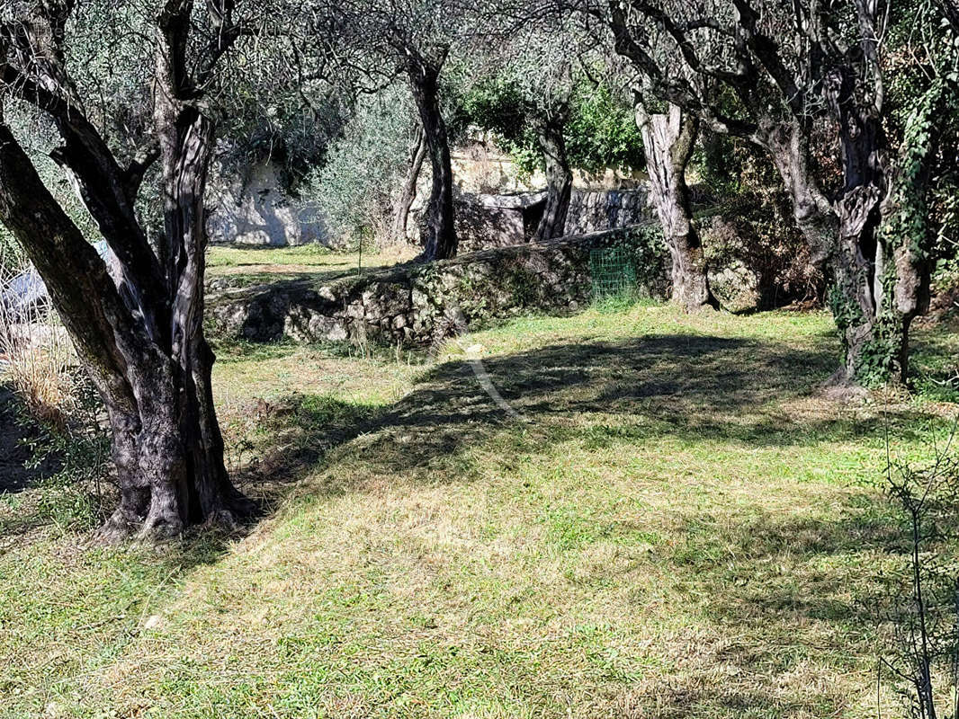 Terrain à GRASSE