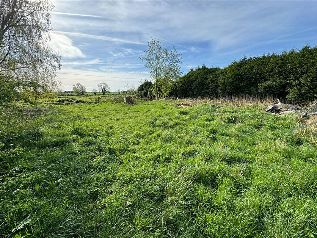 Terrain à ELESMES