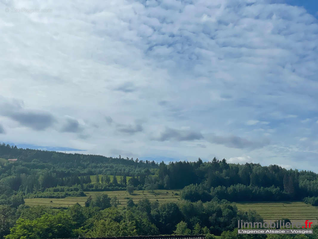 Terrain à WISEMBACH