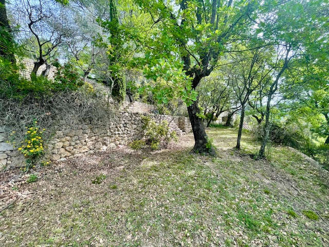 Maison à FAYENCE