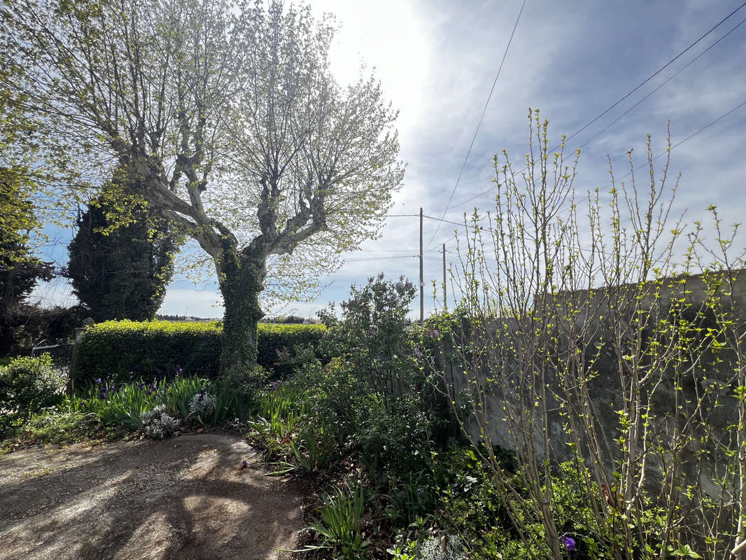 Maison à VAISON-LA-ROMAINE