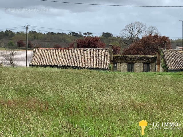 Terrain à SAINT-BONNET-SUR-GIRONDE