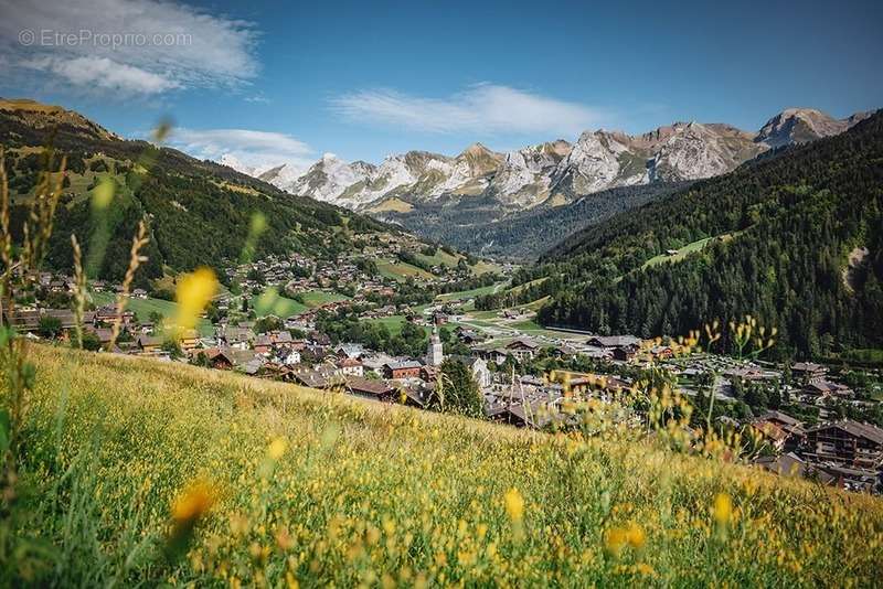 Commerce à LE GRAND-BORNAND