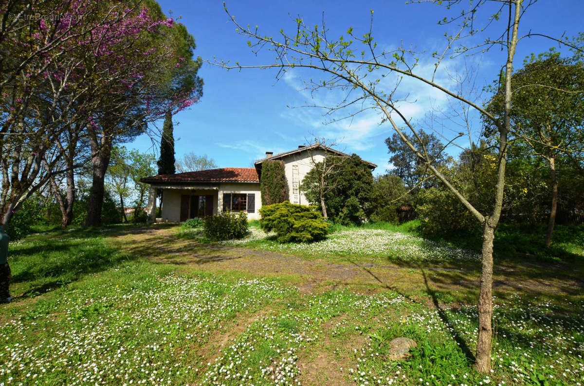 Jardin et Maison House &amp; Garden 1 - Maison à VIC-FEZENSAC