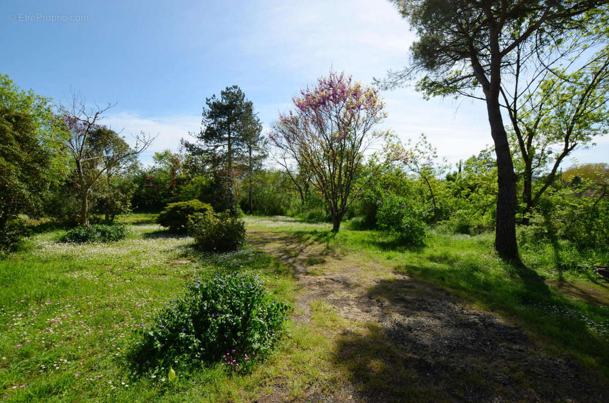 Jardin Garden - Maison à VIC-FEZENSAC