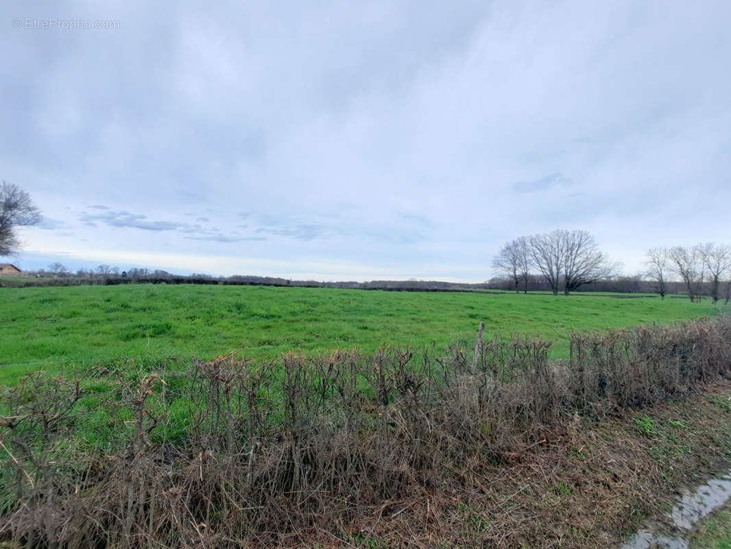 Terrain à MONTREVEL-EN-BRESSE