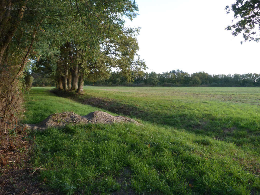 Terrain à VIERZON