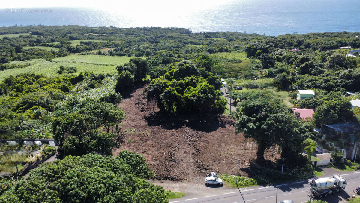 Terrain à SAINTE-ROSE