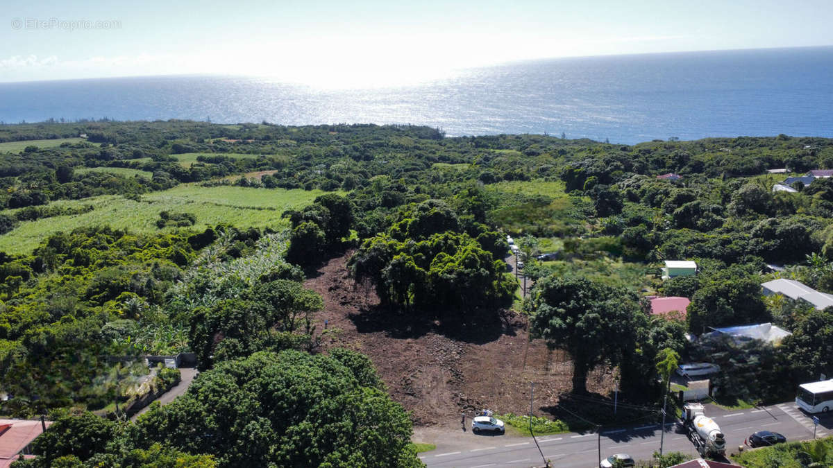 Terrain à SAINTE-ROSE