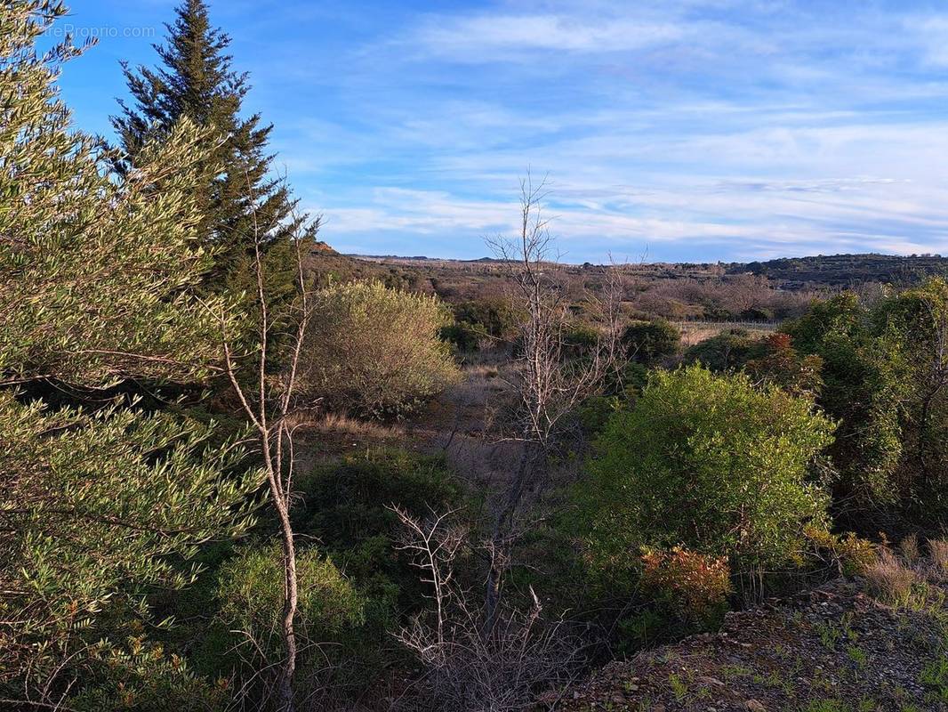 Terrain à PEZENAS