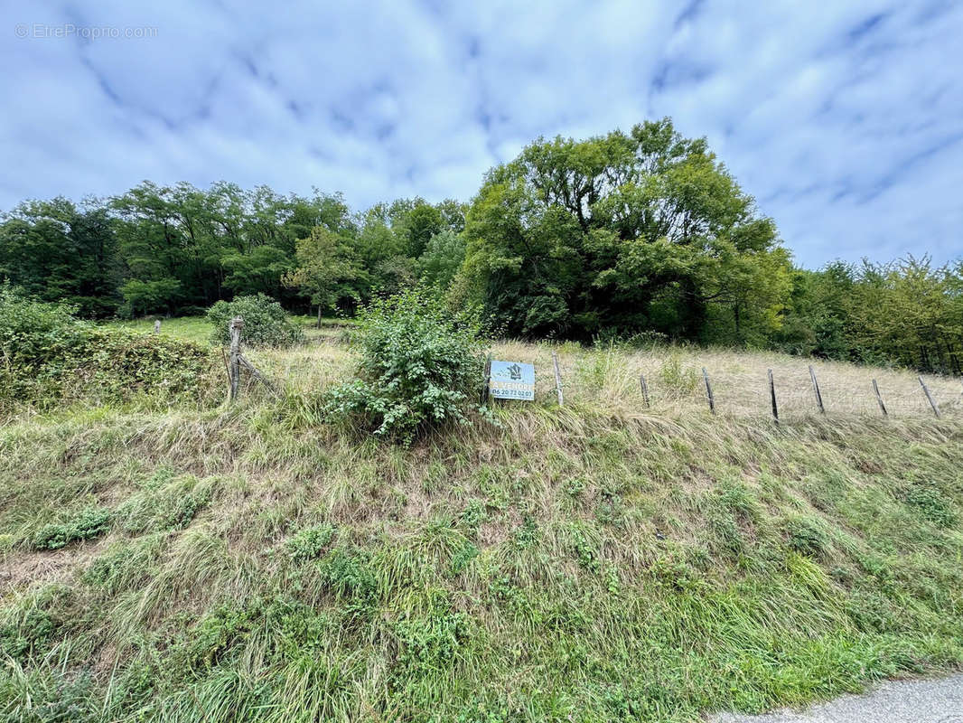 Terrain à LA CROIX-DE-LA-ROCHETTE