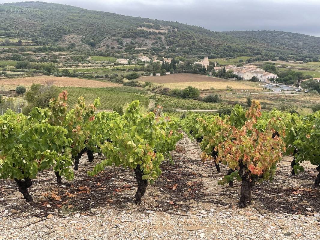 Terrain à MONTPEYROUX