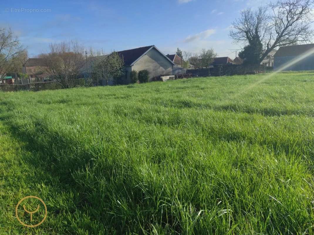 Terrain à ETRELLES-SUR-AUBE