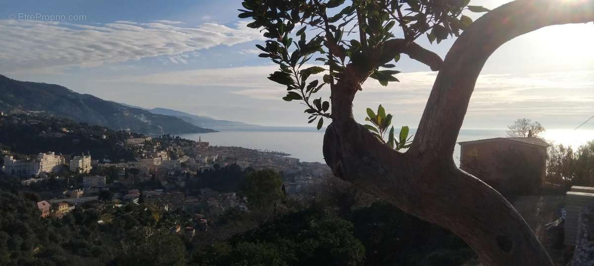 Appartement à MENTON