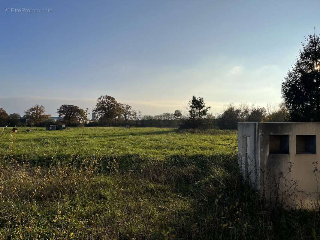 Terrain à MARTIGNE-FERCHAUD