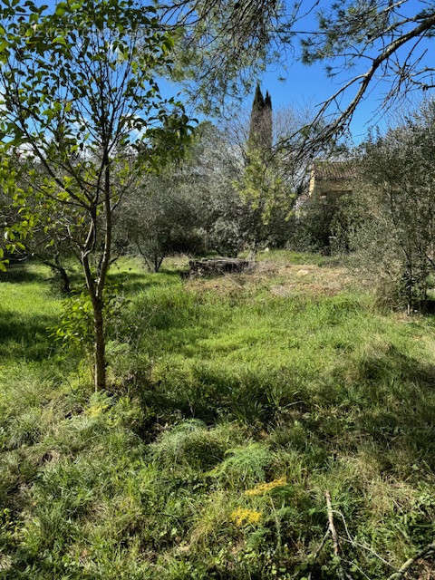 Terrain à SAINT-HIPPOLYTE-DU-FORT