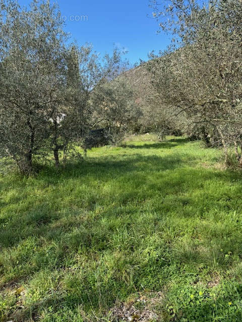 Terrain à SAINT-HIPPOLYTE-DU-FORT