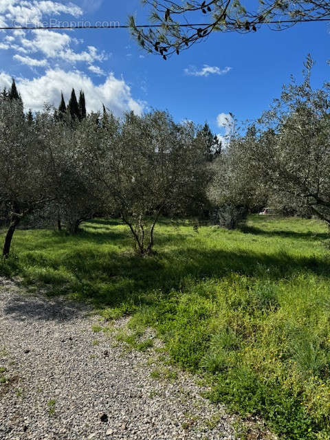 Terrain à SAINT-HIPPOLYTE-DU-FORT