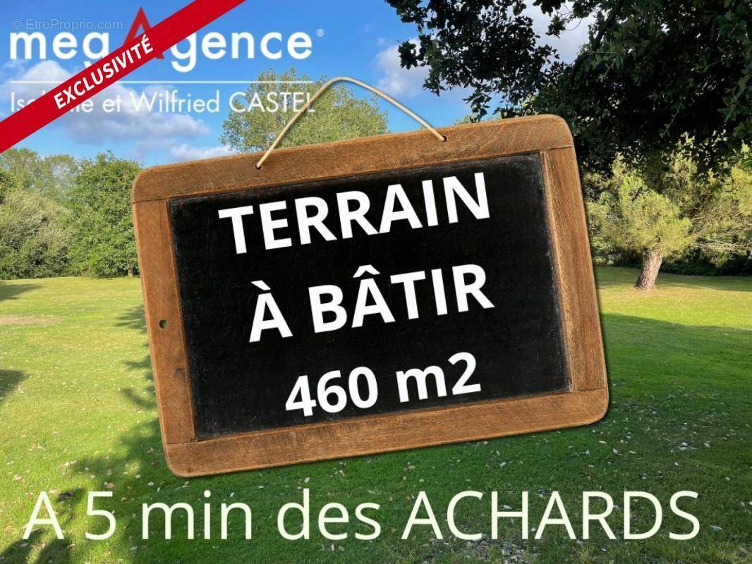 Terrain à LA MOTHE-ACHARD