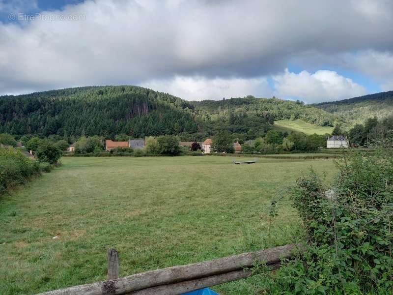 Terrain à LUCENAY-L&#039;EVEQUE