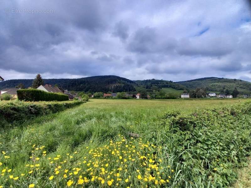 Terrain à LUCENAY-L&#039;EVEQUE