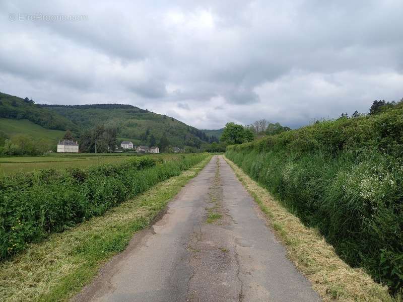 Terrain à LUCENAY-L&#039;EVEQUE