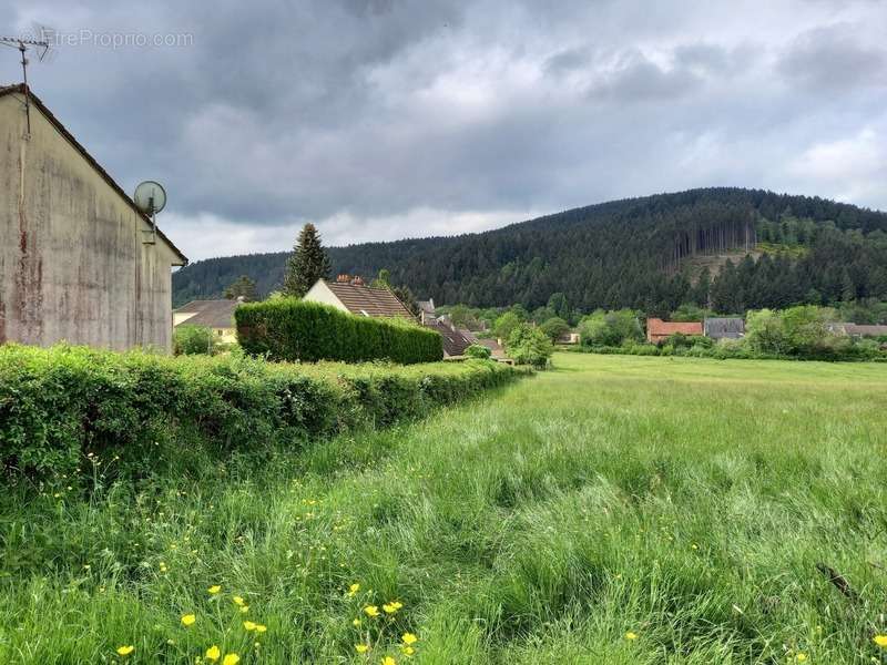 Terrain à LUCENAY-L&#039;EVEQUE